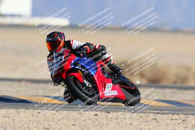 media/Jan-14-2024-SoCal Trackdays (Sun) [[2e55ec21a6]]/Turn 4 Tree of Life (155pm)/